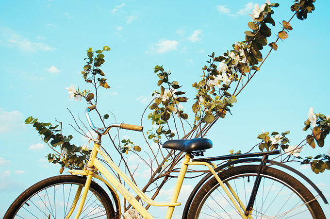 La bicicleta una opción de transporte sostenible