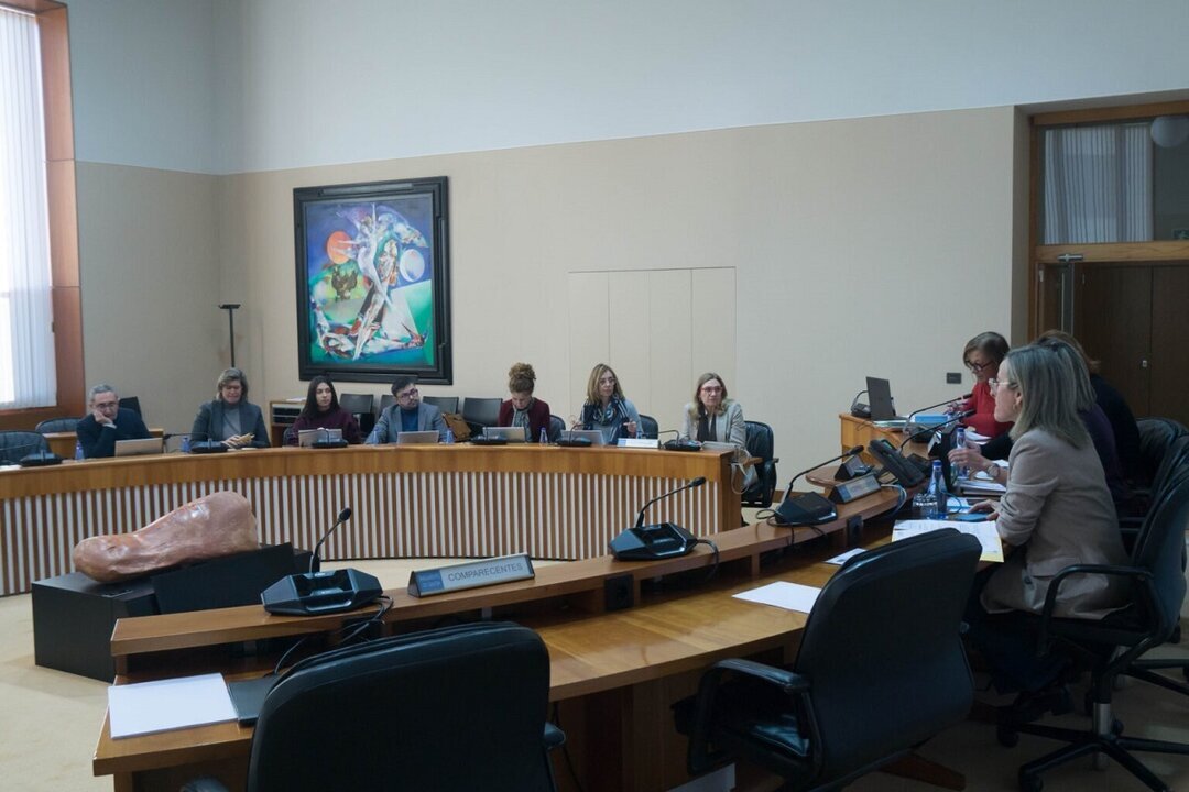 El Parlamento gallego demanda subir la edad de atención psiquiátrica infanto-juvenil.